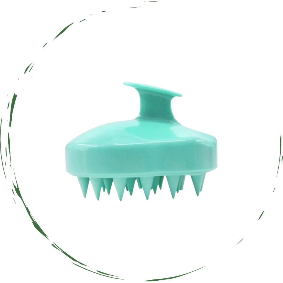 Hair Scalp Massager Brush